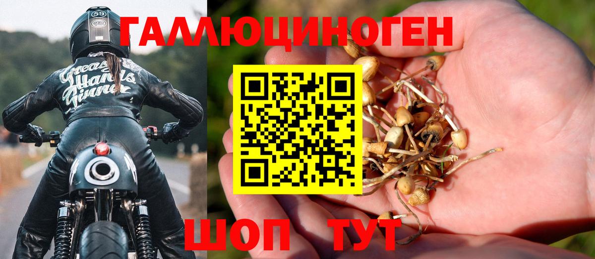 Псилоцибиновые грибы мицелий Ханты-Мансийск